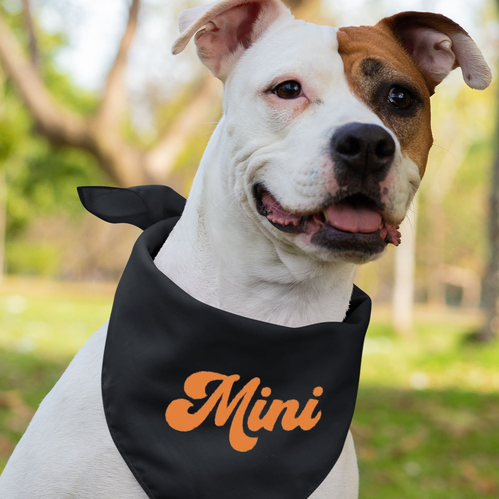 Mama Mini Family Matching Shirt 