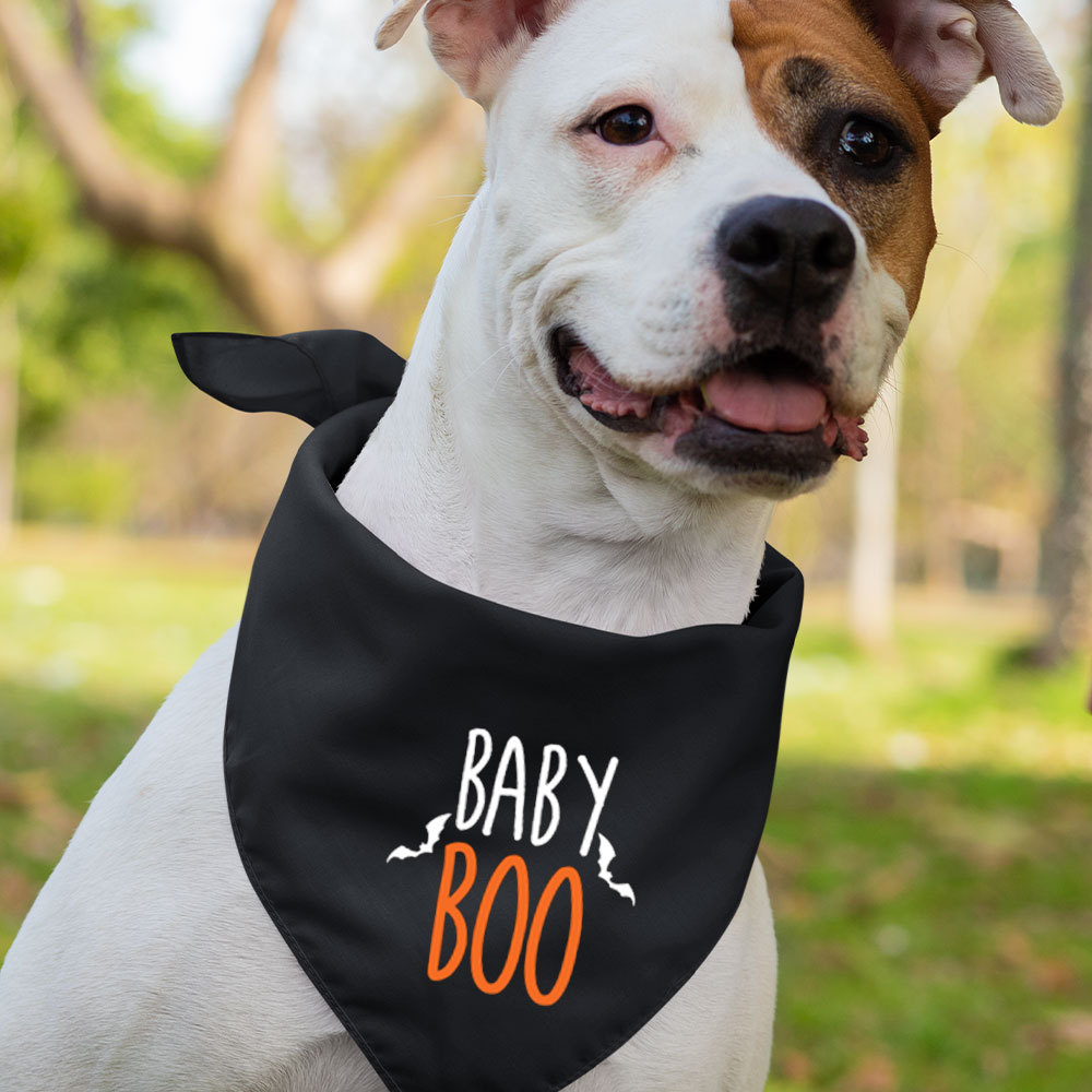 Boo Halloween Family Party  Shirts
