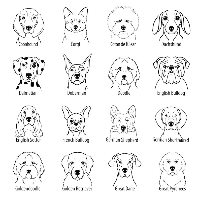 Personalized Baby Embroidery Rompers Sets (Pets)