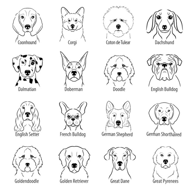 Personalized Baby Embroidery Rompers Sets (Pets)