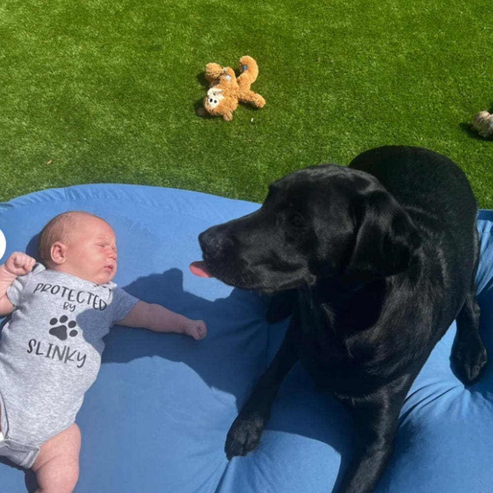 Protected By Dog Bodysuit & Shirts