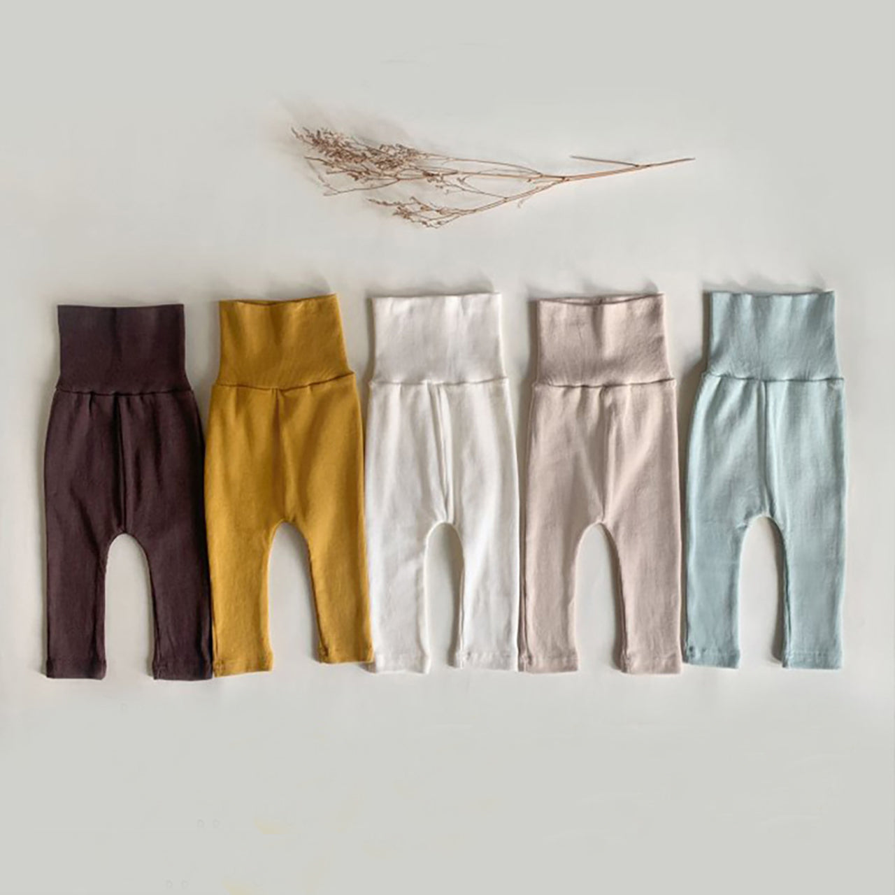 5 Colors Baby Cotton Basics Unisex Pants