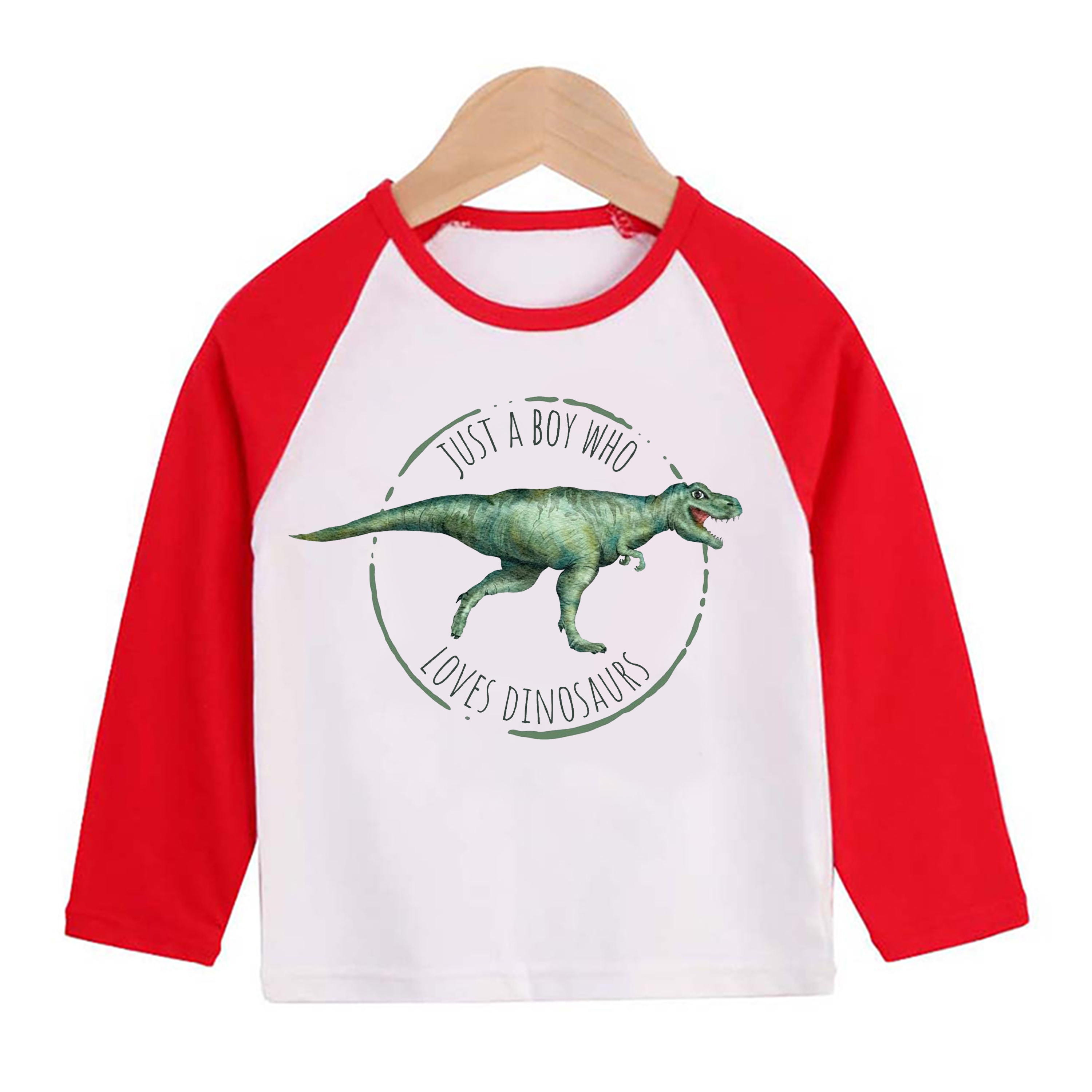 Just A Boy Who Loves Dinosaurs Long Sleeve Kids T-Shirt