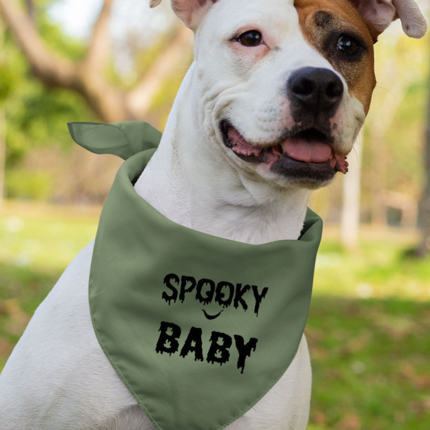 Spooky Halloween Family Matching Shirt 