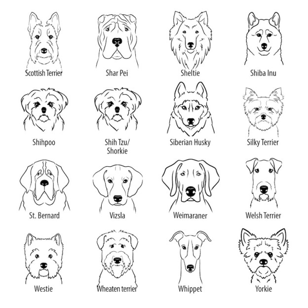 Personalized Baby Embroidery Rompers Sets (Pets)