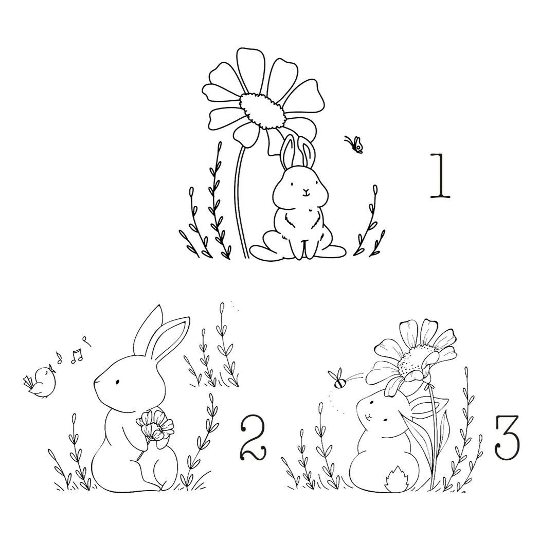 Rabbit With Butterfly Three Designs Bodysuit For Baby