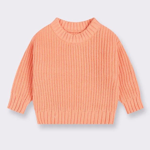 Cute Autumn Kid's Sweater
