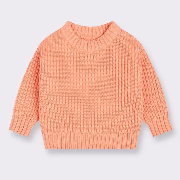 Cute Autumn Kid's Sweater