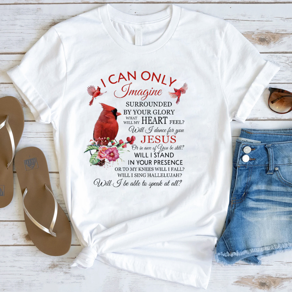 I Can Only Imagine T-Shirt