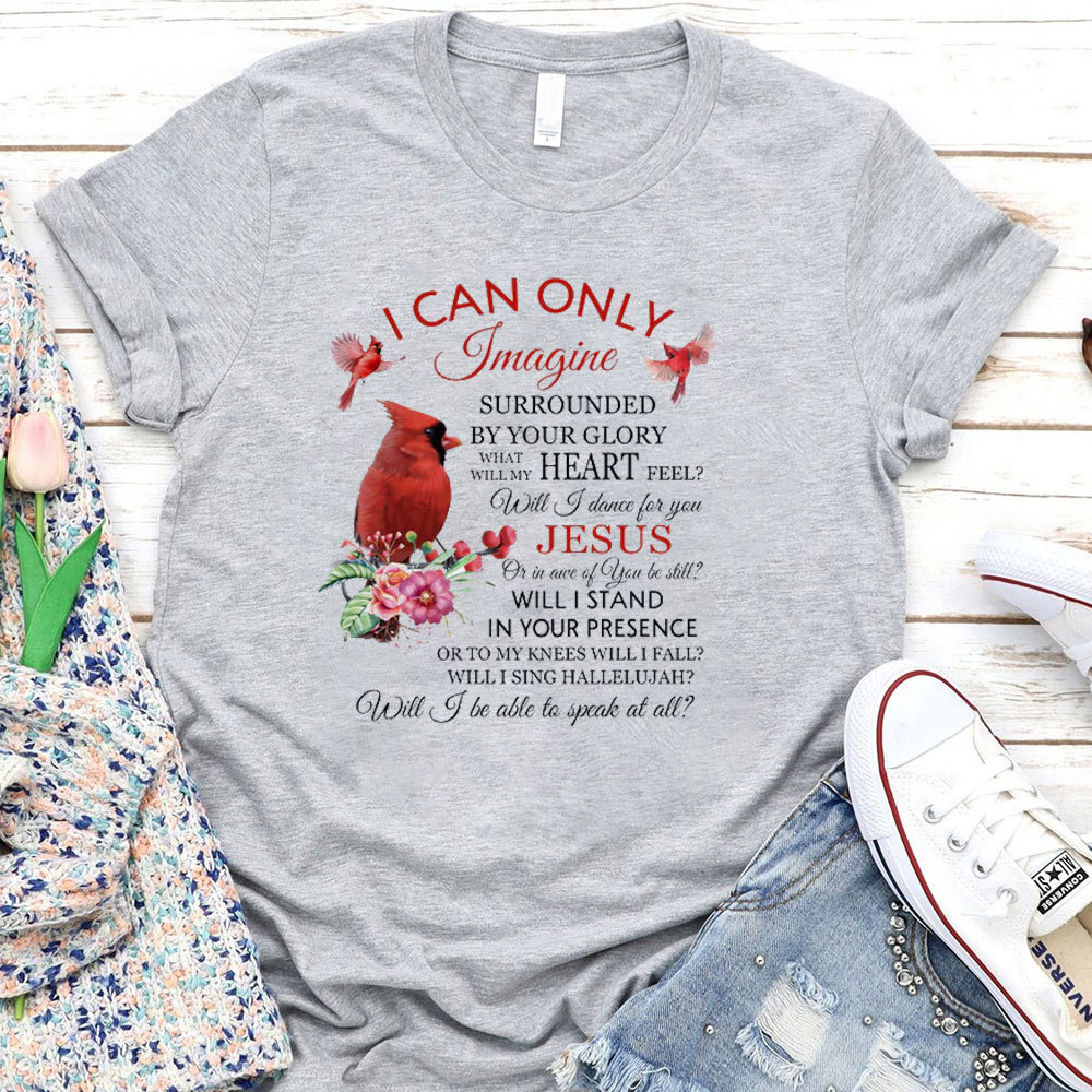 I Can Only Imagine T-Shirt