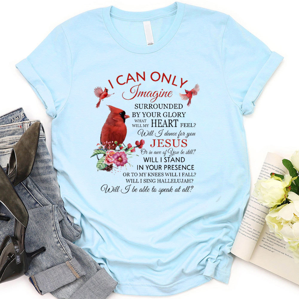 I Can Only Imagine T-Shirt