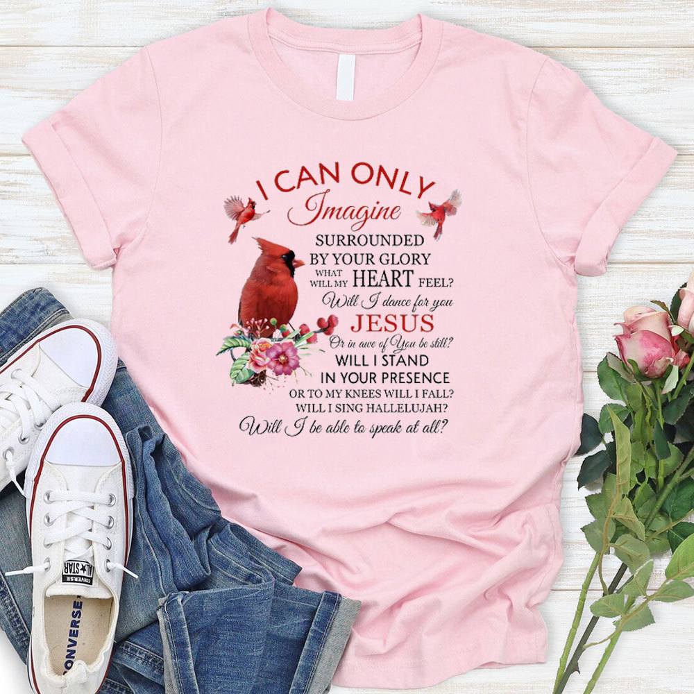 I Can Only Imagine T-Shirt