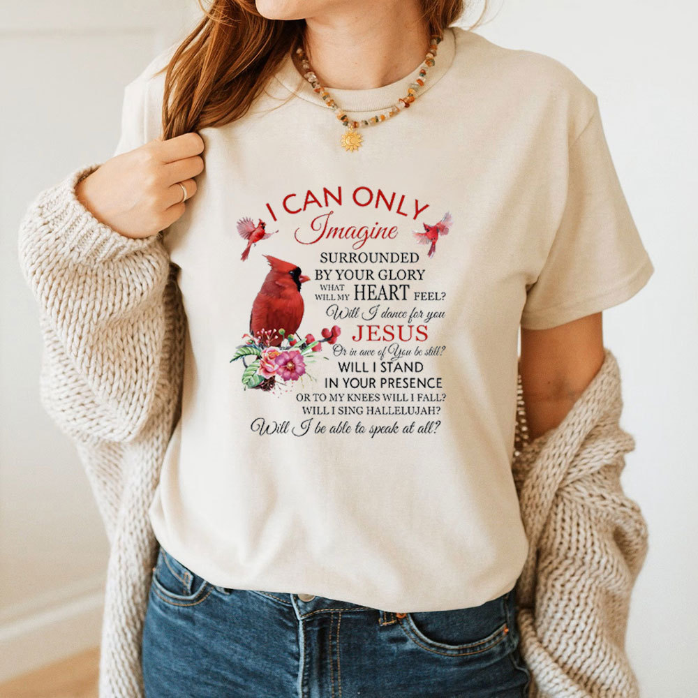 I Can Only Imagine T-Shirt