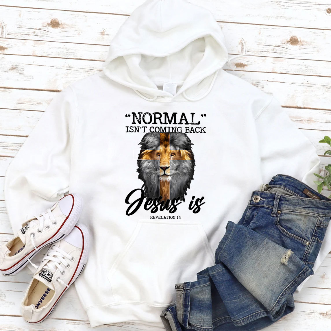 Normal Isn't Coming Back Jesus Is Lion Hoodie