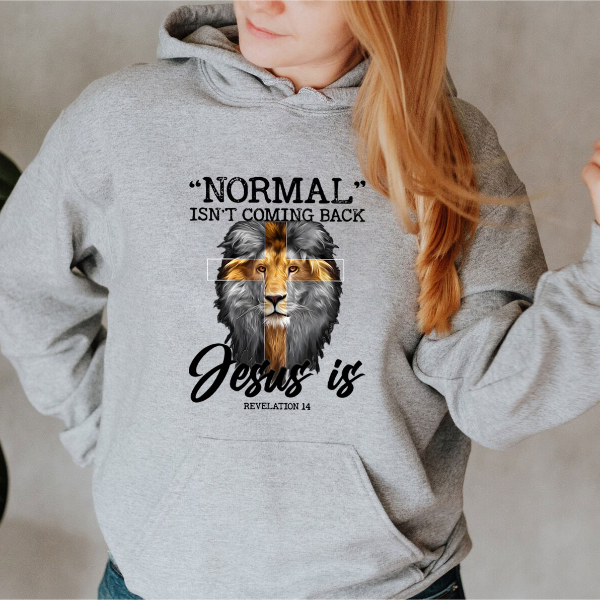 Normal Isn't Coming Back Jesus Is Lion Hoodie
