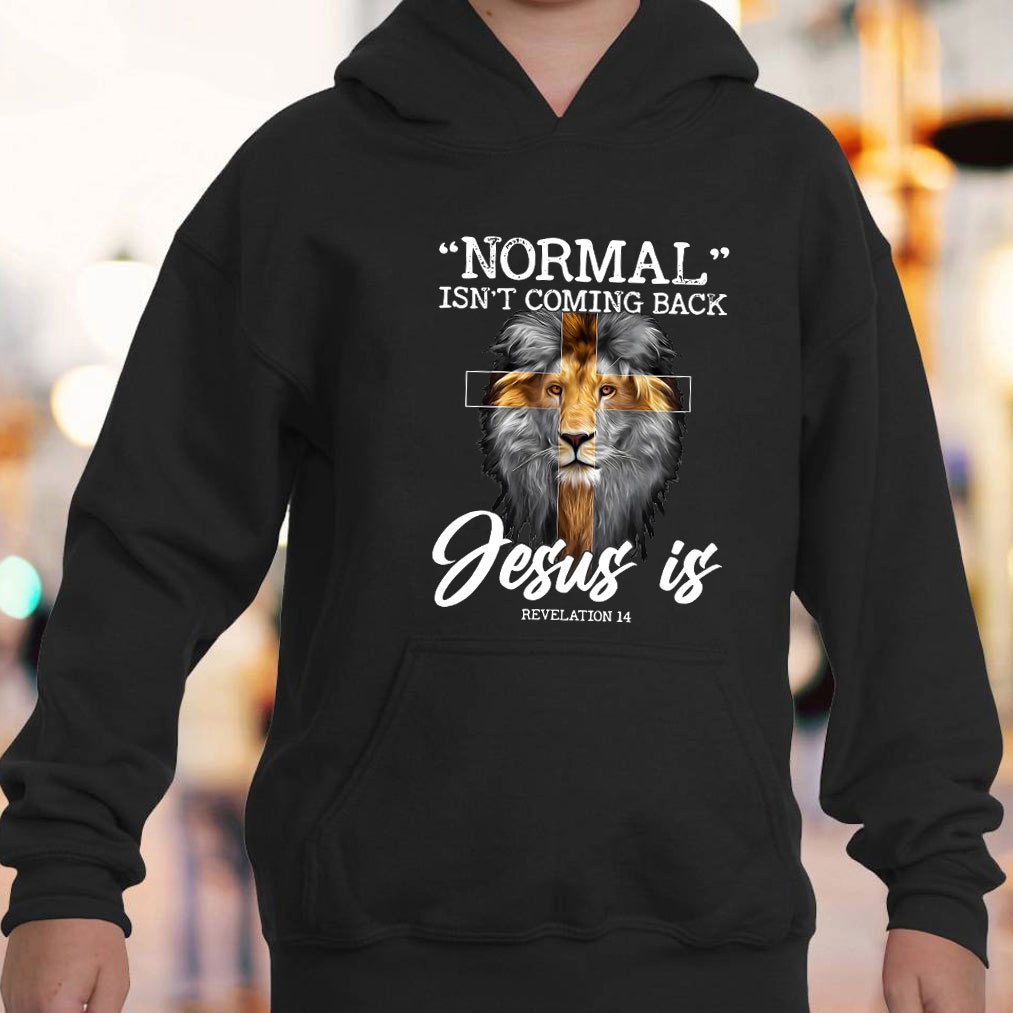 Normal Isn't Coming Back Jesus Is Lion Hoodie
