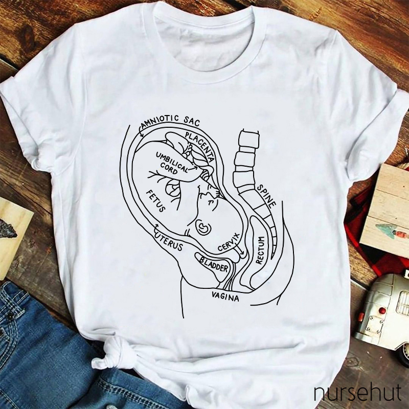 Pregnant Belly Anatomy Nurse T-Shirt