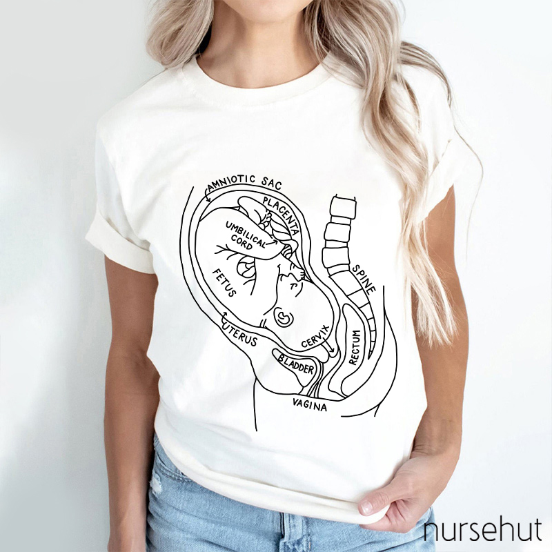 Pregnant Belly Anatomy Nurse T-Shirt