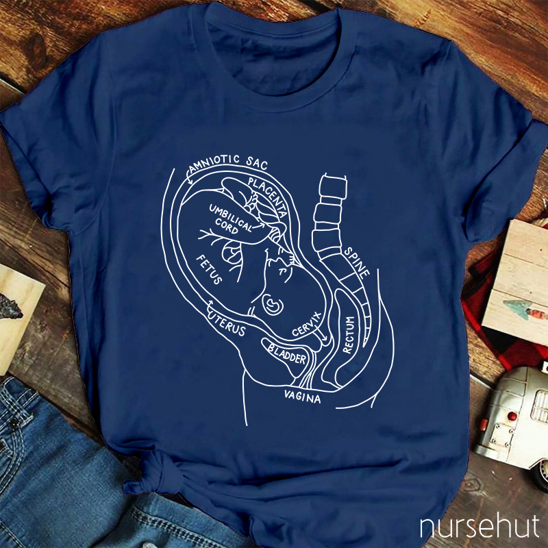 Pregnant Belly Anatomy Nurse T-Shirt