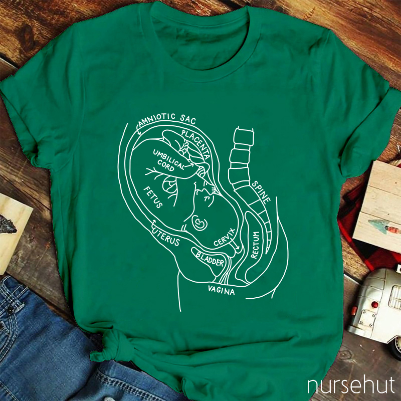 Pregnant Belly Anatomy Nurse T-Shirt