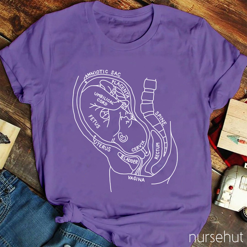 Pregnant Belly Anatomy Nurse T-Shirt