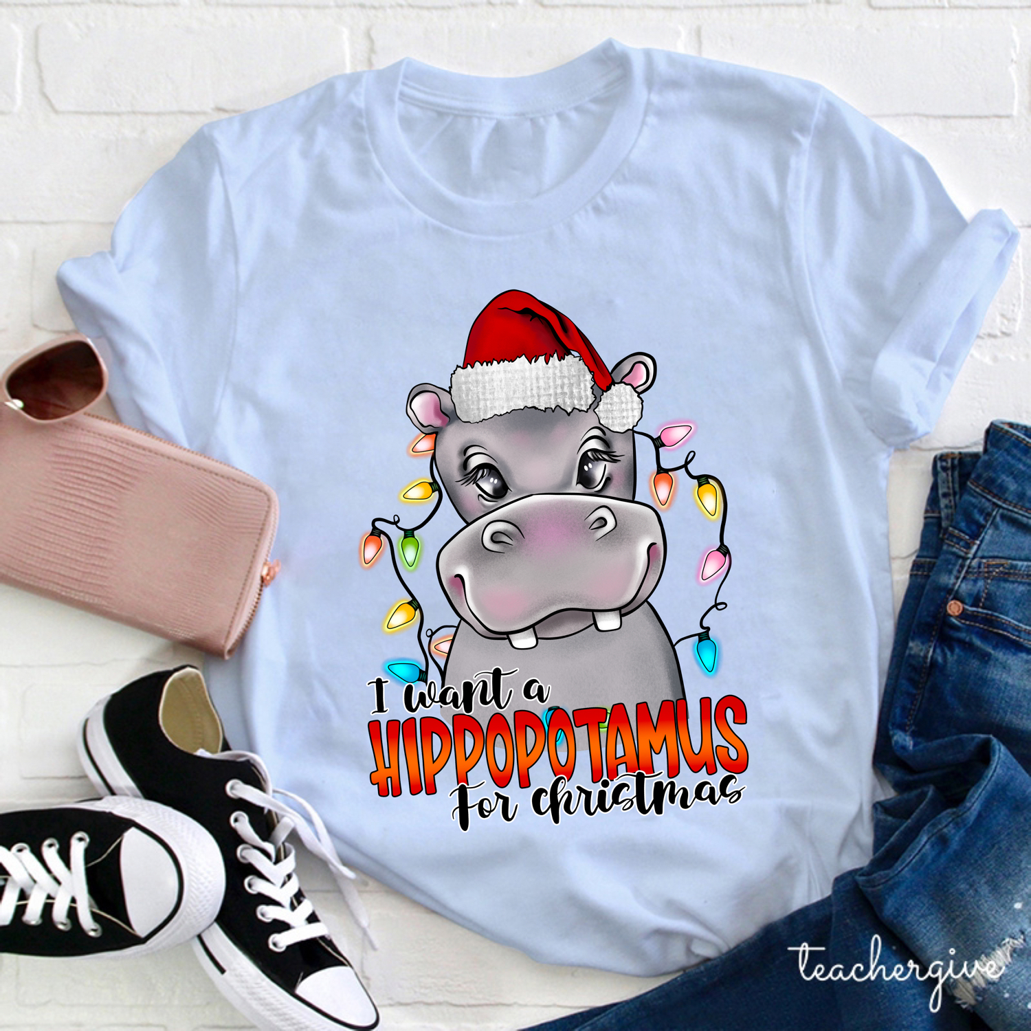 I Want A Hippopotamus For Christmas Teacher T-shirt