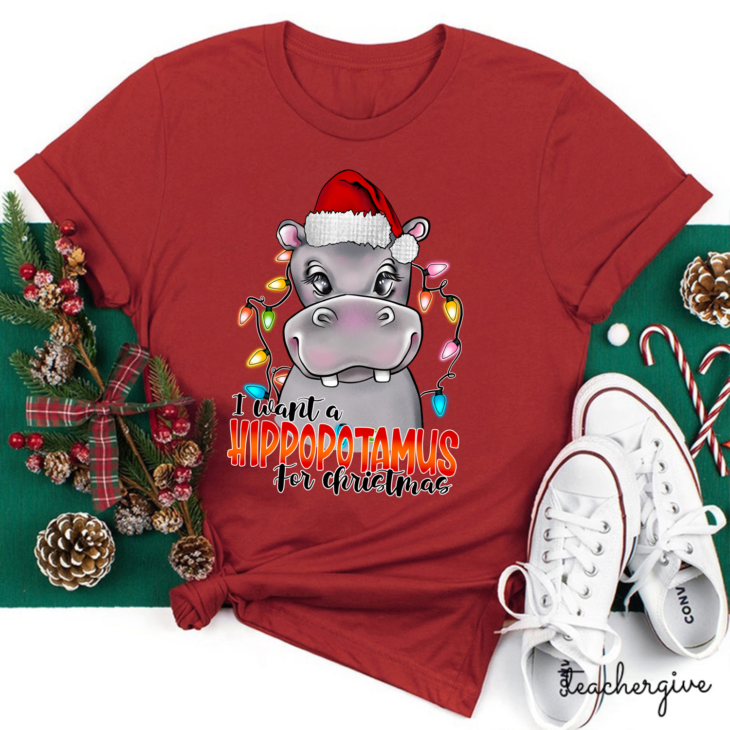 I Want A Hippopotamus For Christmas Teacher T-shirt