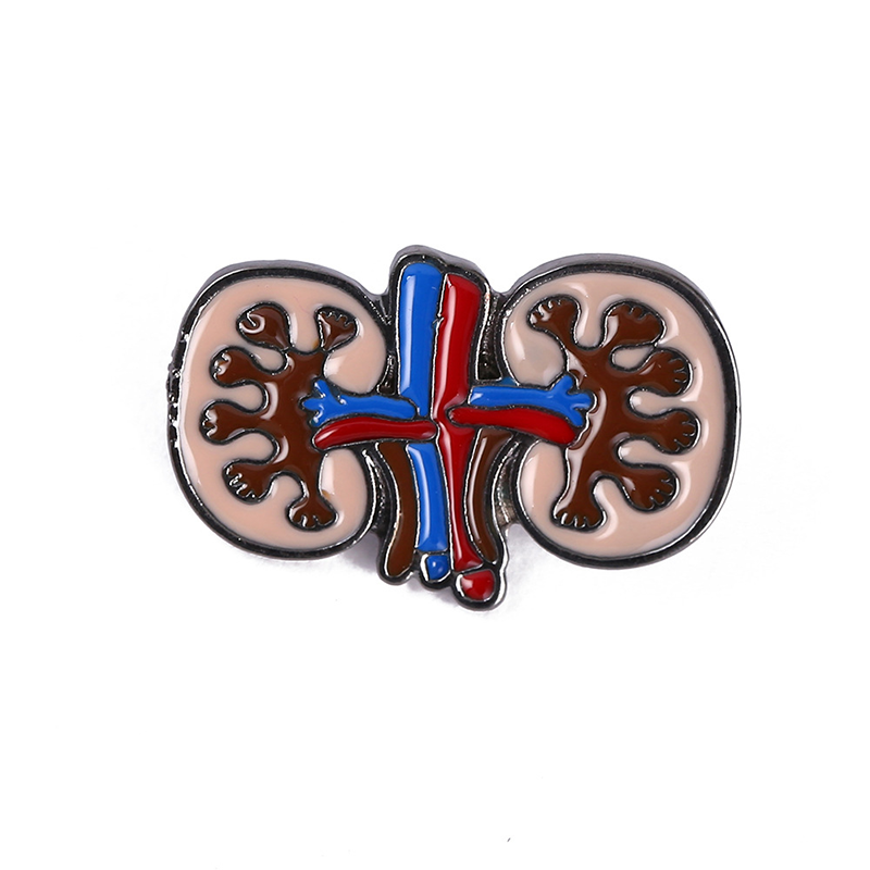 Medical Human Organ Series Pin Set