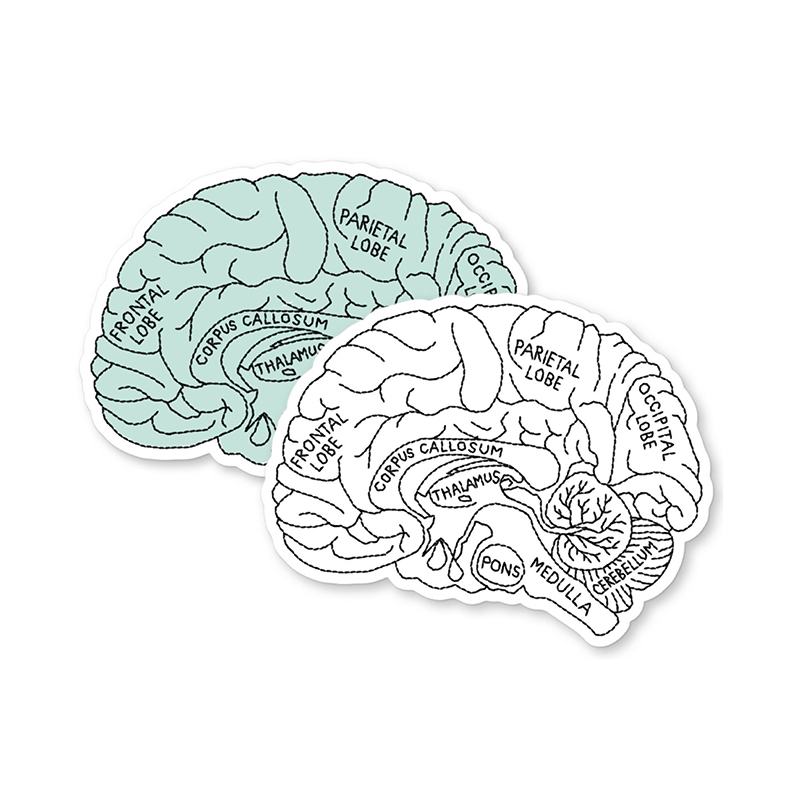 Brain Anatomy Nurse Stickers