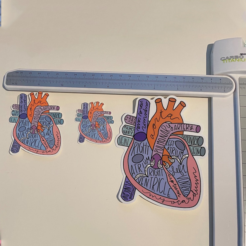 Anatomical Heart Nurse Stickers