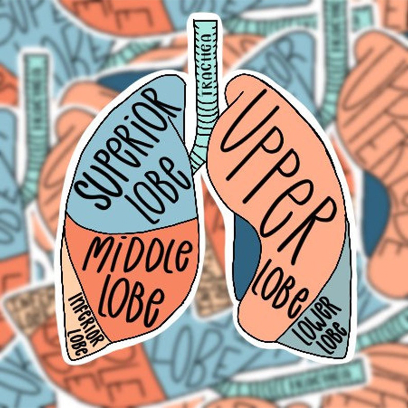 Lungs Nurse Stickers