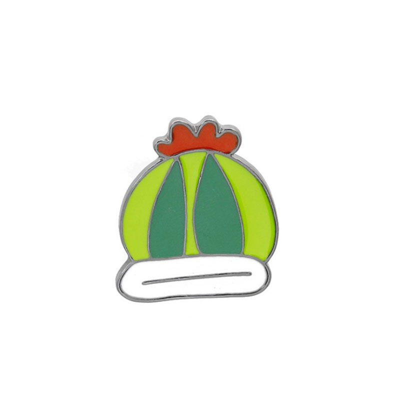 Cute Cactus Flowers Pin Set