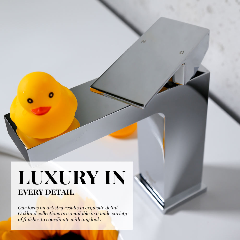 Single Hole Bathroom Faucet With Drain Assembly BF307 - Lava Odoro-LAVA ODORO