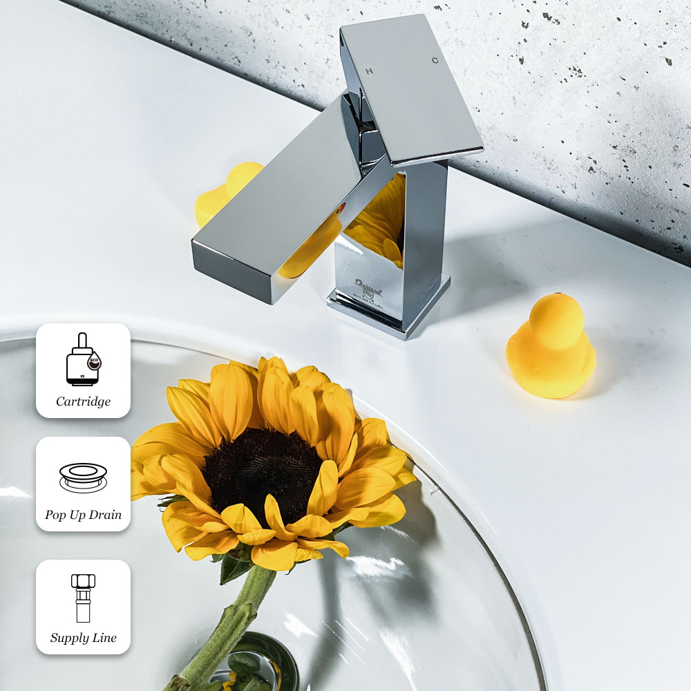 Single Hole Bathroom Faucet With Drain Assembly BF307 - Lava Odoro-LAVA ODORO