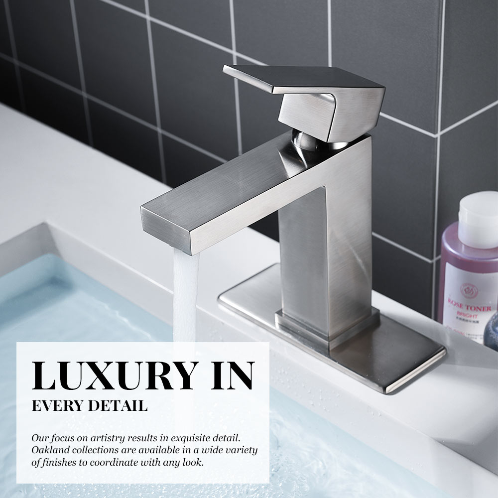 Single Hole Bathroom Faucet With Drain Assembly BF307 - Lava Odoro-LAVA ODORO