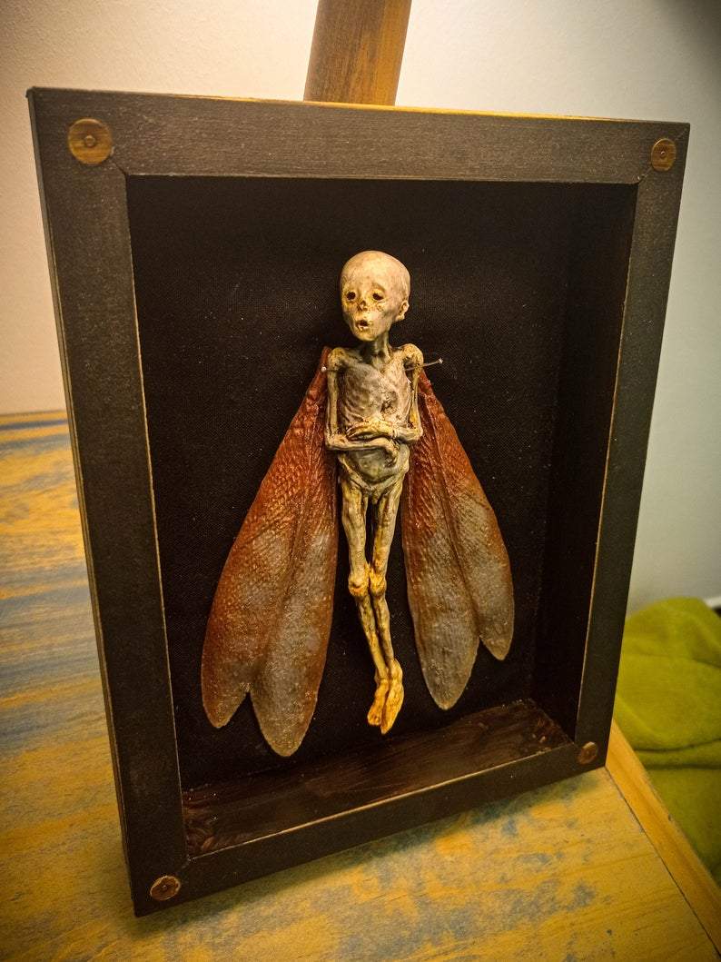 🧝🧝Cursed Items - Dead Fairy Shadow Box Display