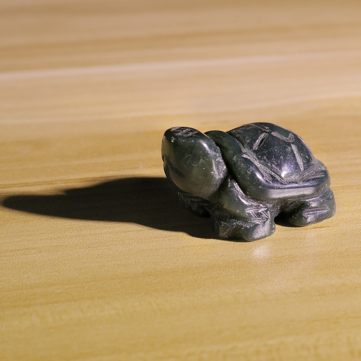 Small Animal Tortoise 1Each