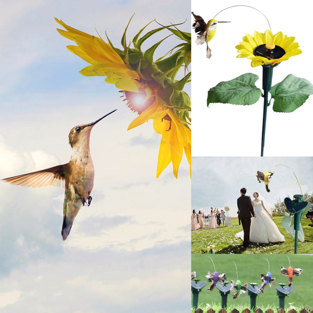 Solar Dancing Hummingbird/Butterfly With Sunflower