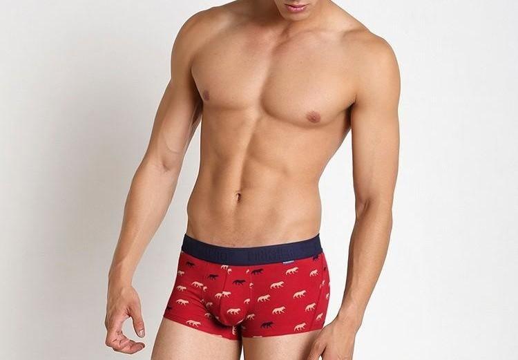 Hero Wolf Large Pouch Boxer brief
