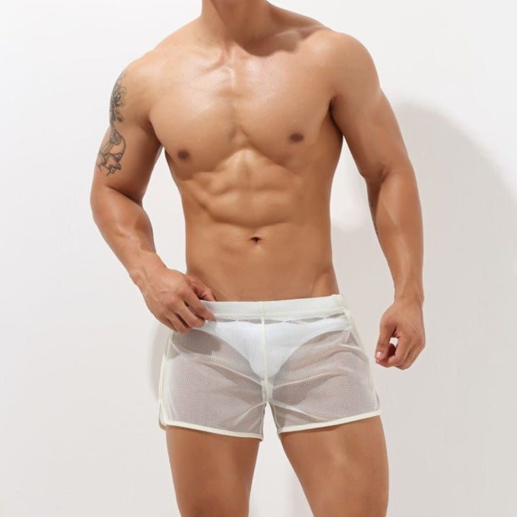 sheer-swim-trunks