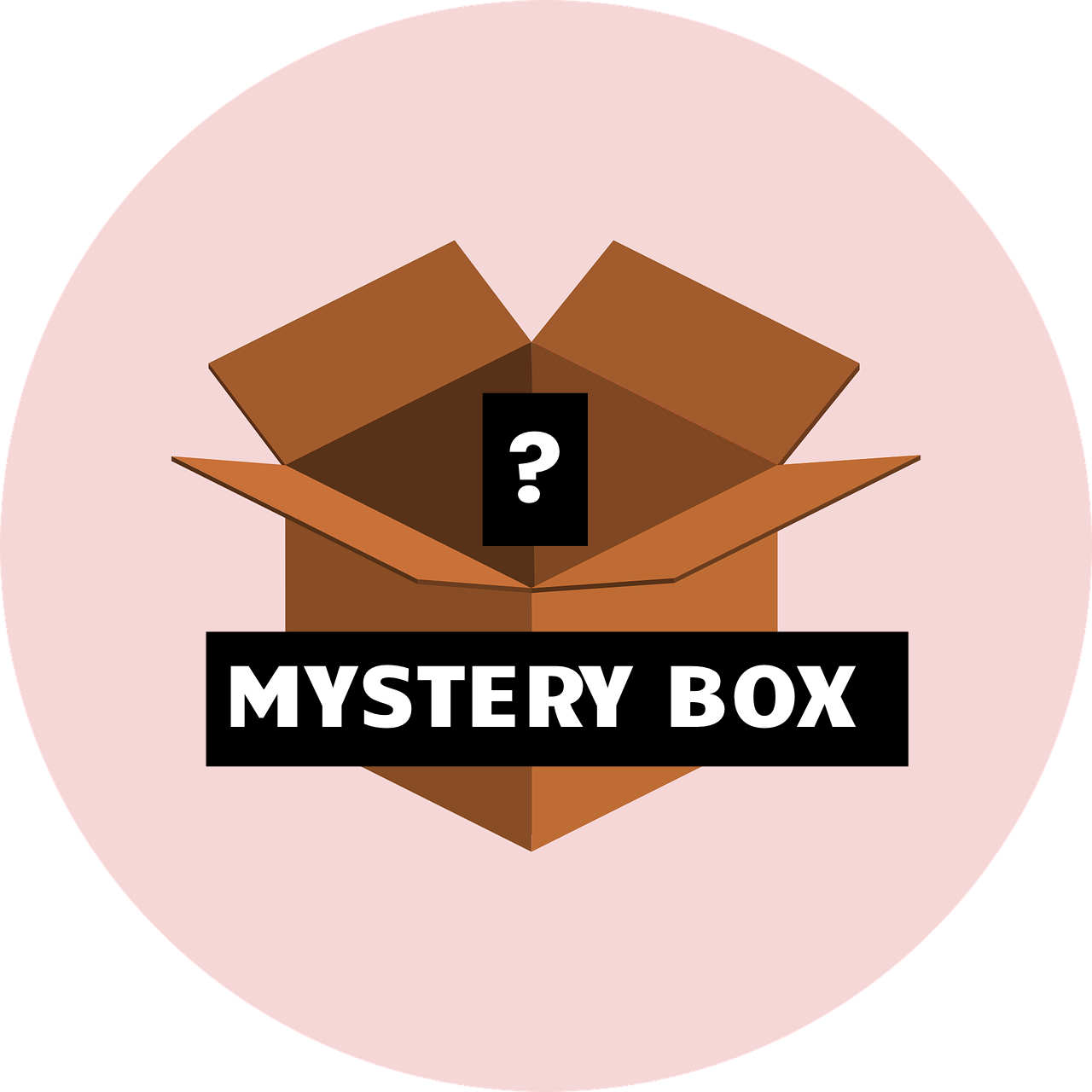 $49 Black Friday Mystery Box