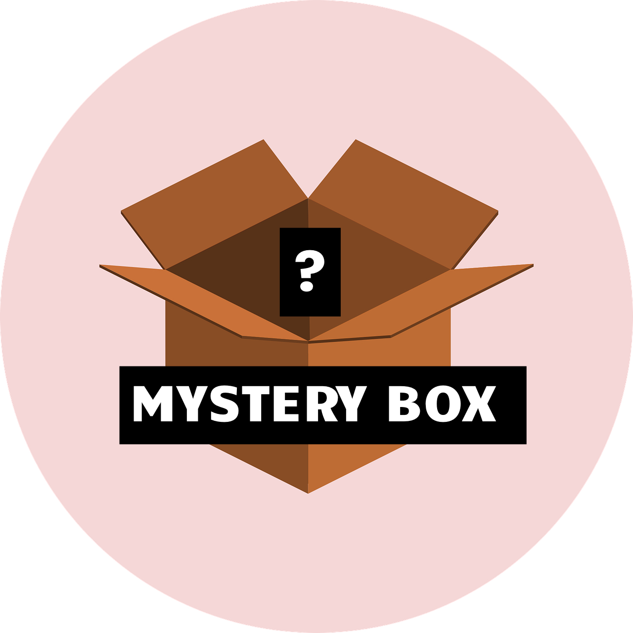 Medium Mystery Box