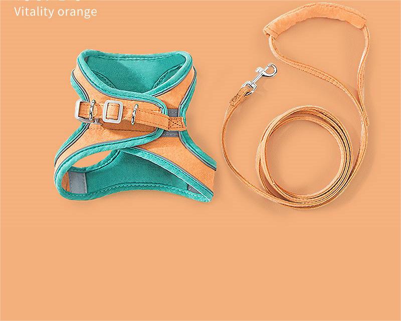 Flygooses Luminous Cat Vest Harness and Leash Set