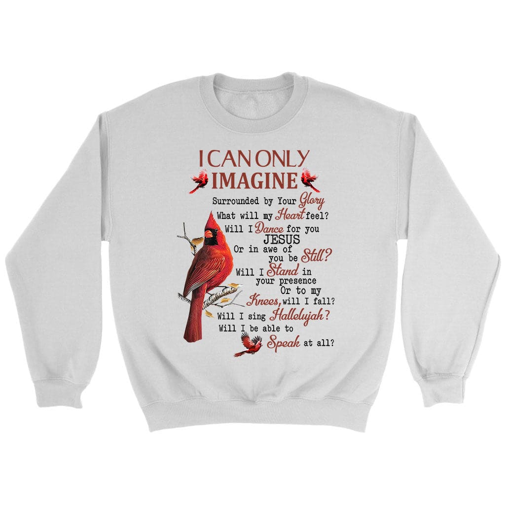 I can only imagine sweatshirt, cardinal Christian sweatshirts
