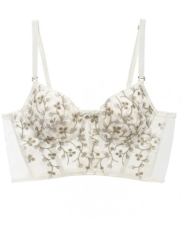 Embroidered Lace and Steel Bone Overlay French Lingerie Bra Set-Curvy-Faja