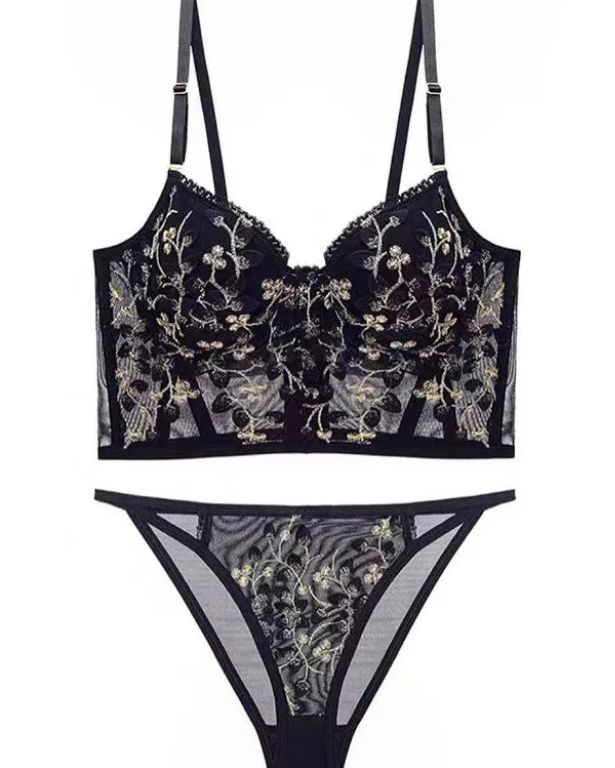 Embroidered Lace and Steel Bone Overlay French Lingerie Bra Set-Curvy-Faja