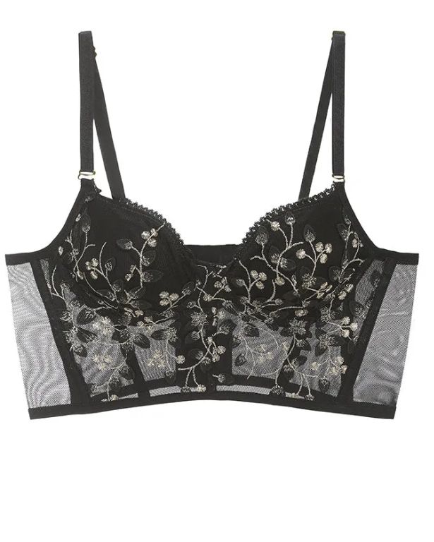 Embroidered Lace and Steel Bone Overlay French Lingerie Bra Set-Curvy-Faja