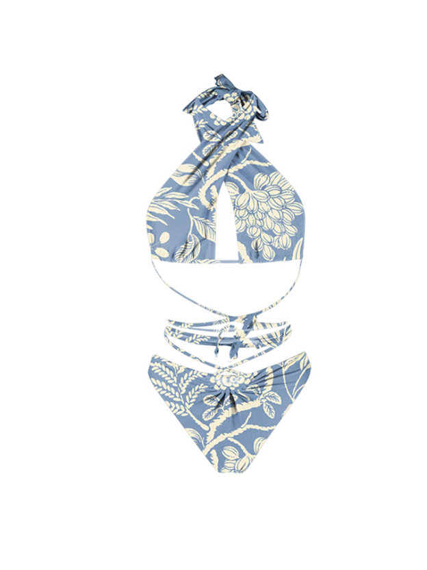 Vintage Printed Bikinis Swimsuits & Cover-ups