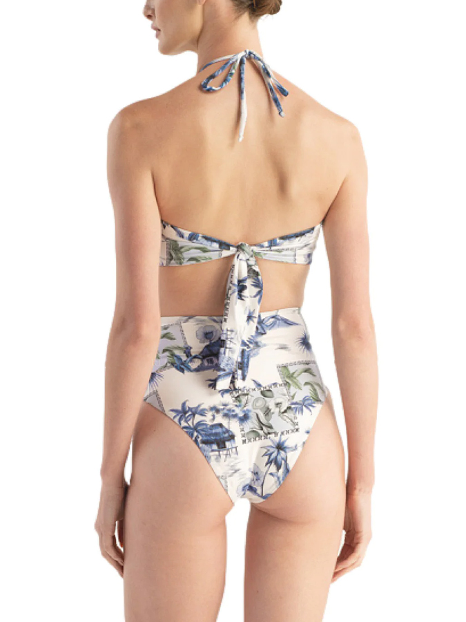 Vintage Floral Print Ruffle One Piece Swimsuit And Cover Up