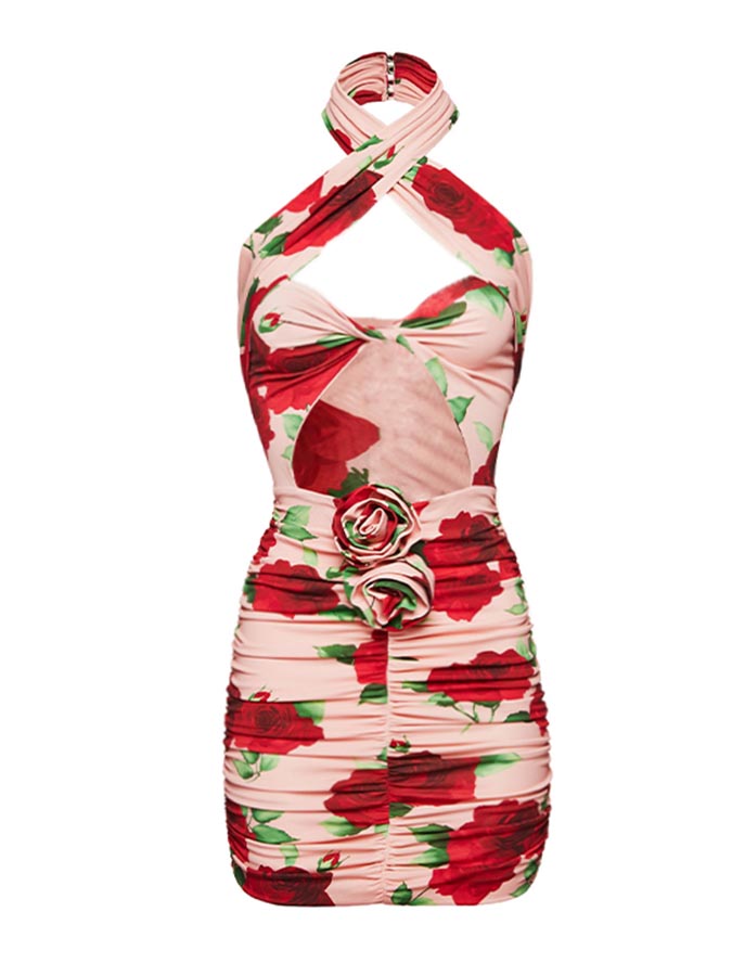 3D Flower Cut Out Printed Halter One Piece Swimsuit and Skirt